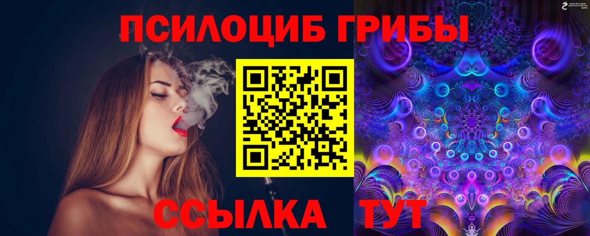 Псилоцибиновые грибы GOLDEN TEACHER Усолье-Сибирское